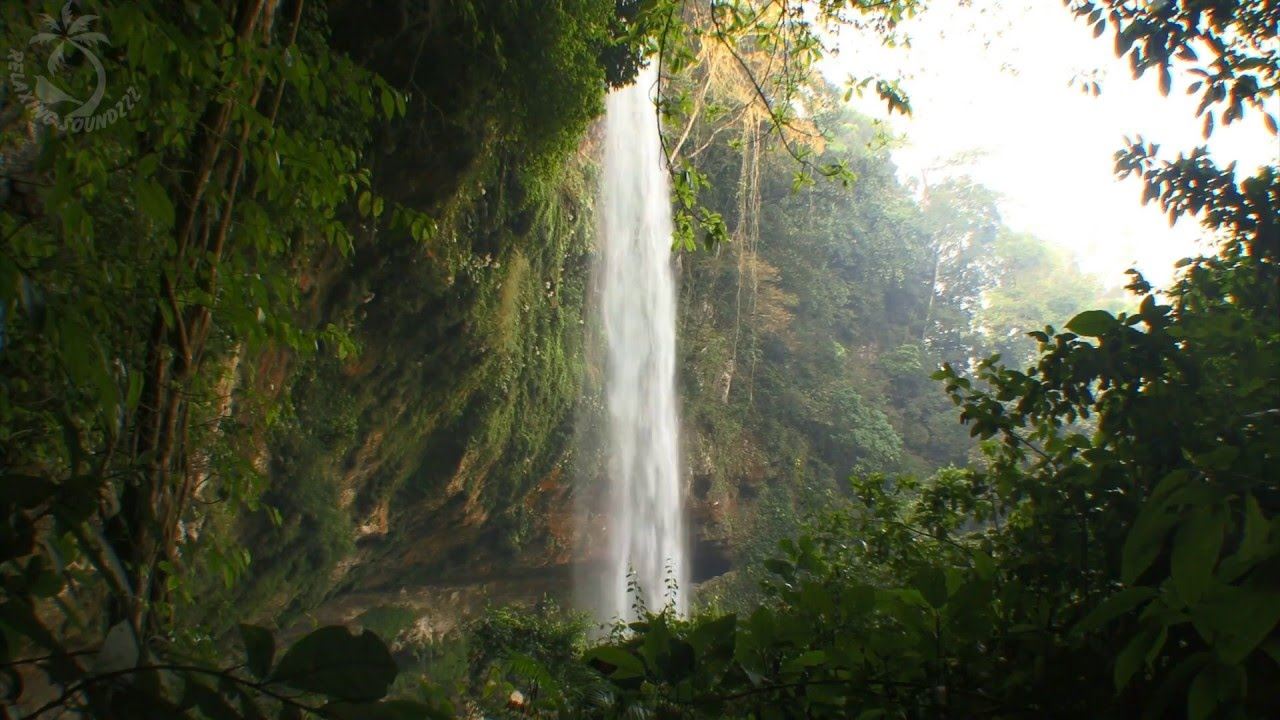 pantang larang bila masuk ke hutan