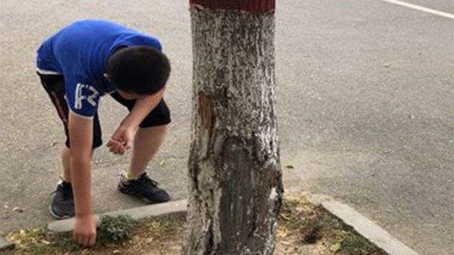 kutip 20 puntung rokok dapat ais krim percuma