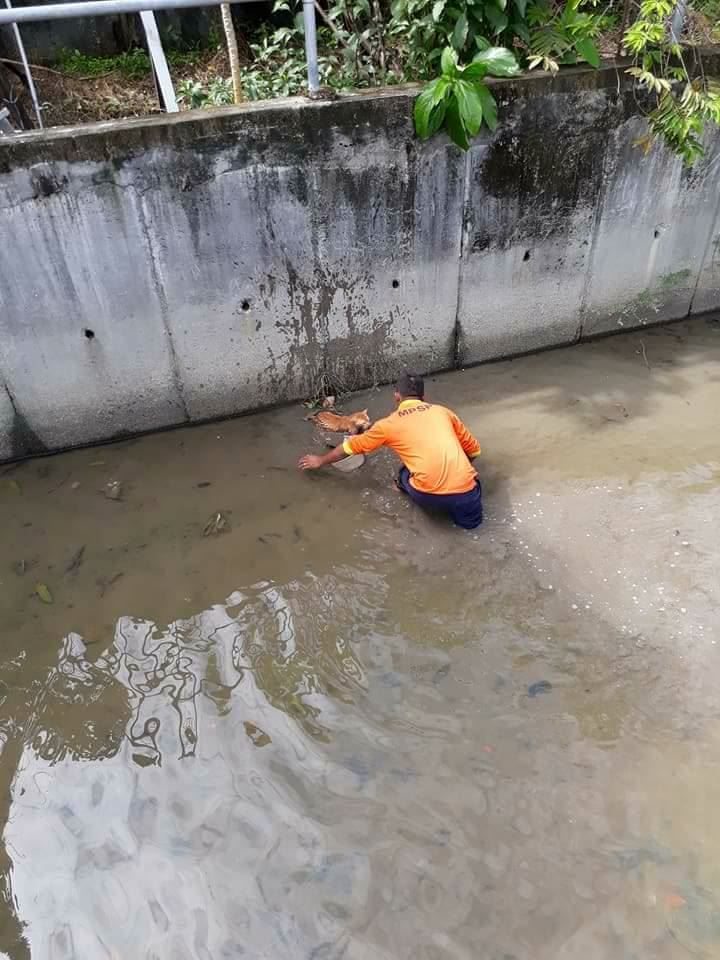 tindakan mulia lelaki ini pasti buat anda tersentuh