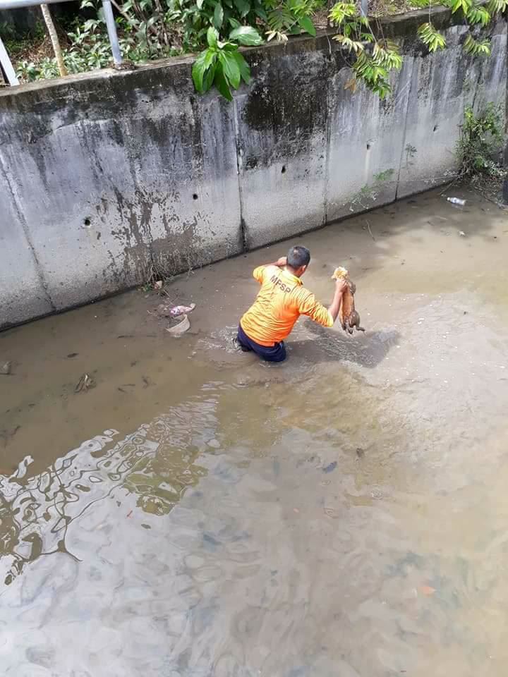 tindakan mulia lelaki ini pasti buat anda tersentuh