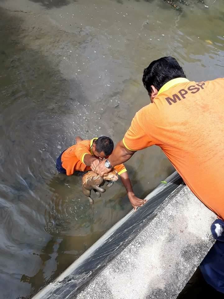 tindakan mulia lelaki ini pasti buat anda tersentuh
