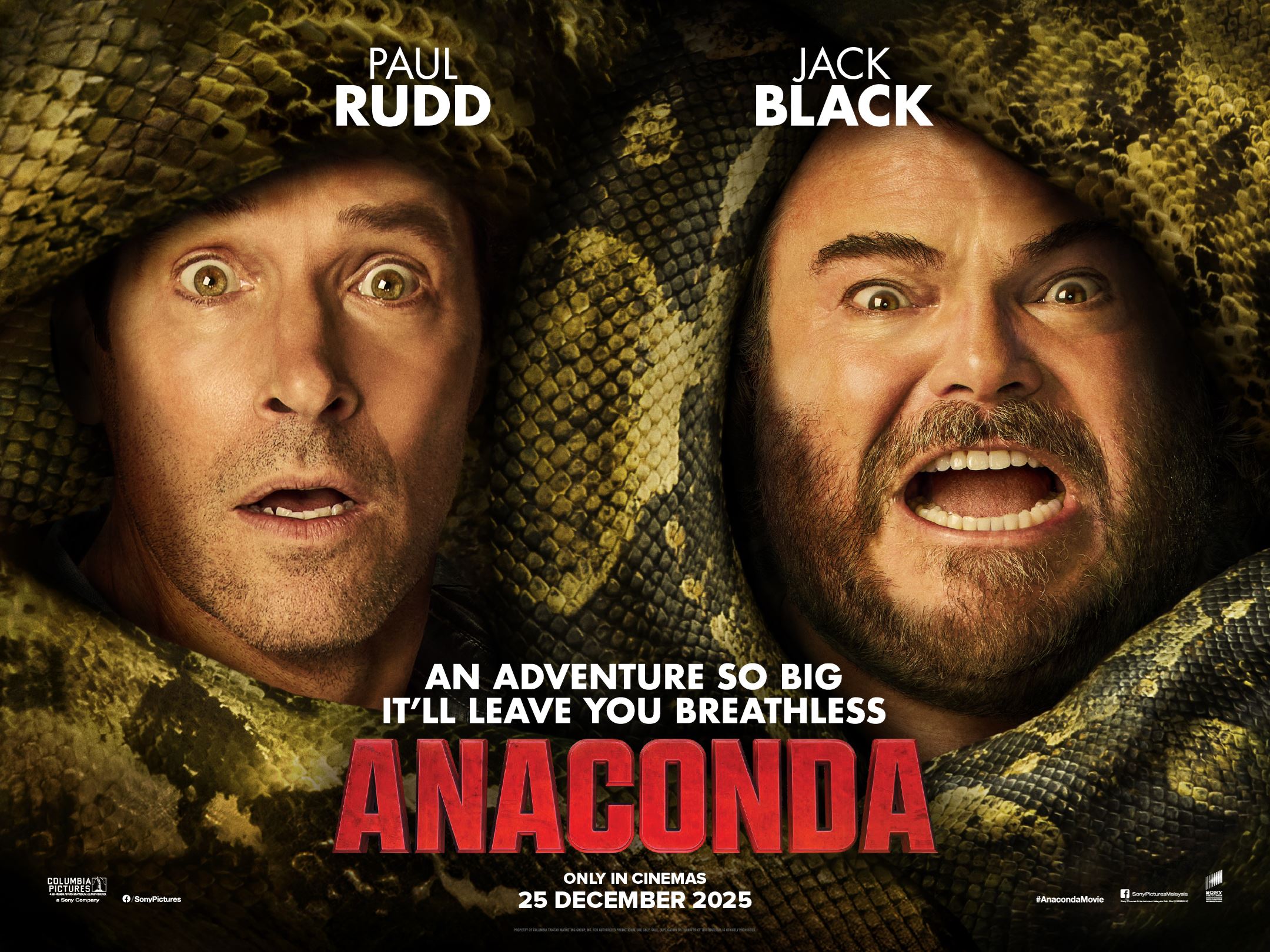 peraduan zayan | anaconda